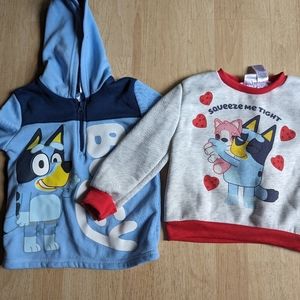 Bluey Sweaters (2)